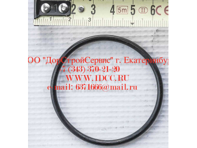 Кольцо уплотнительное ø346х3.5 гидромуфты ГТР CDM 855, 843 Lonking CDM (СДМ) 402236 фото 1 Таганрог