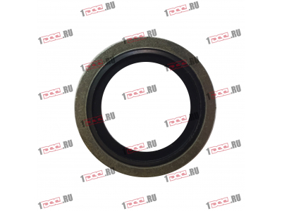 Шайба уплотнительная резинометаллическая D-24 H2 HOWO (ХОВО)  фото 1 Таганрог