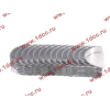 Вкладыши коренные стандарт +0.00 (14шт) LONGGONG CDM833 Lonking CDM (СДМ) 13034908/13034916 фото 2 Таганрог