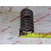 Пружина клапана WP12 SHAANXI / Shacman (ШАНКСИ / Шакман) 612630050005 фото 3 Таганрог